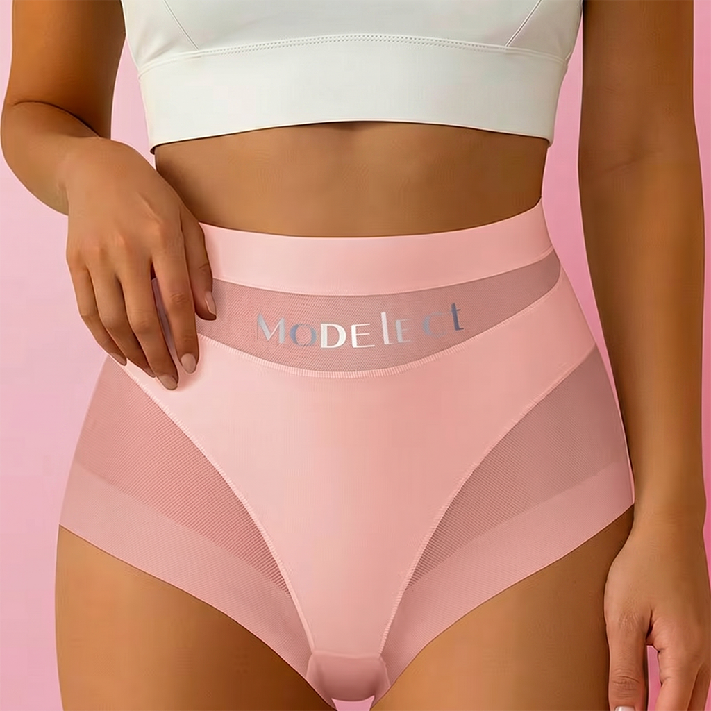 2 Pcak Chic Mesh Patchwork High-Waist Panties
