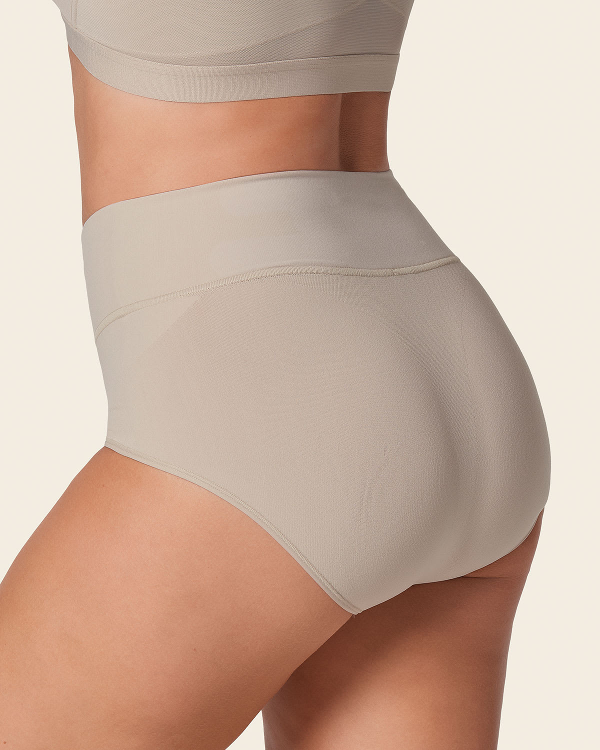 High-Waisted Classic Sculpting Brief