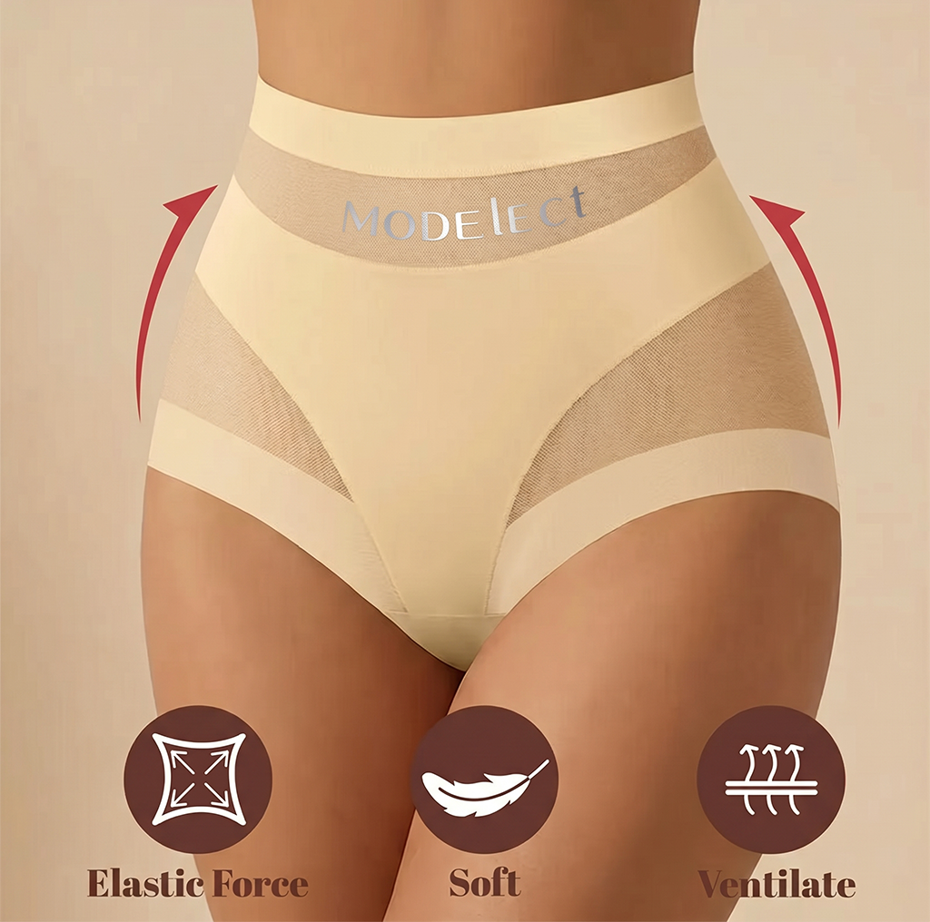 2 Pcak Chic Mesh Patchwork High-Waist Panties