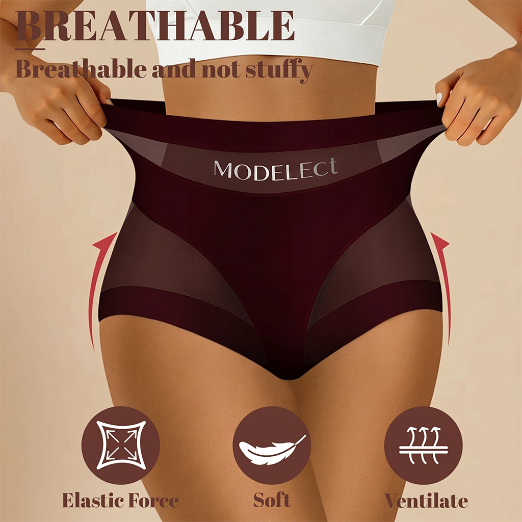 2 Pcak Chic Mesh Patchwork High-Waist Panties