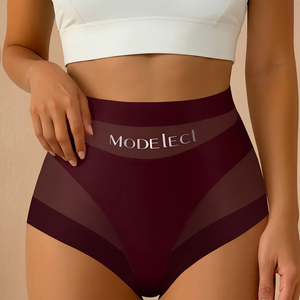 2 Pcak Chic Mesh Patchwork High-Waist Panties