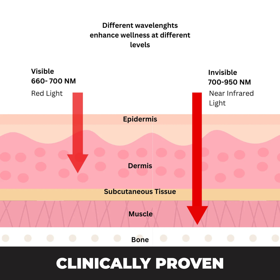 WAIST BUDDY PRO™ - CHRISTMAS EXCLUSIVE SALE
